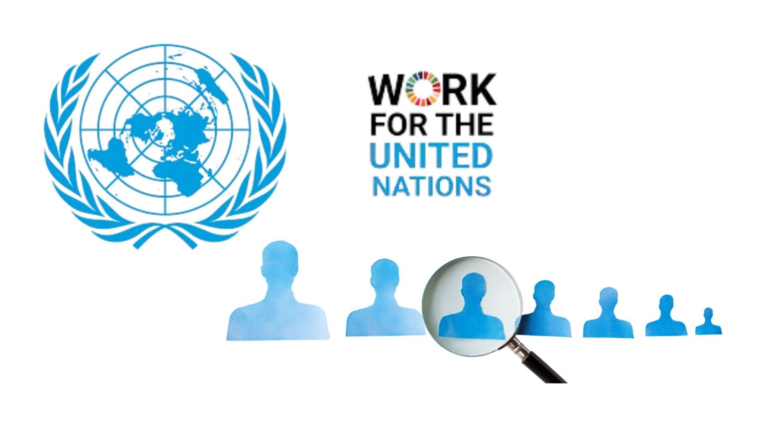 Programme Management Officer