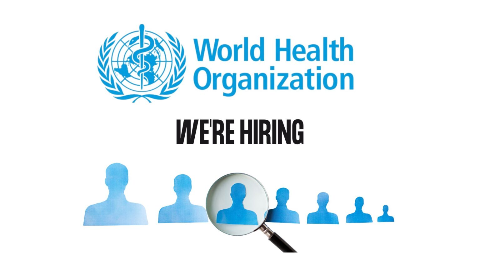 Finance Assistant – Multiple Positions (Hargeisa & Garowe)